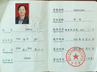 高級(jí)農(nóng)技師