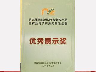 優(yōu)秀展示獎(jiǎng)